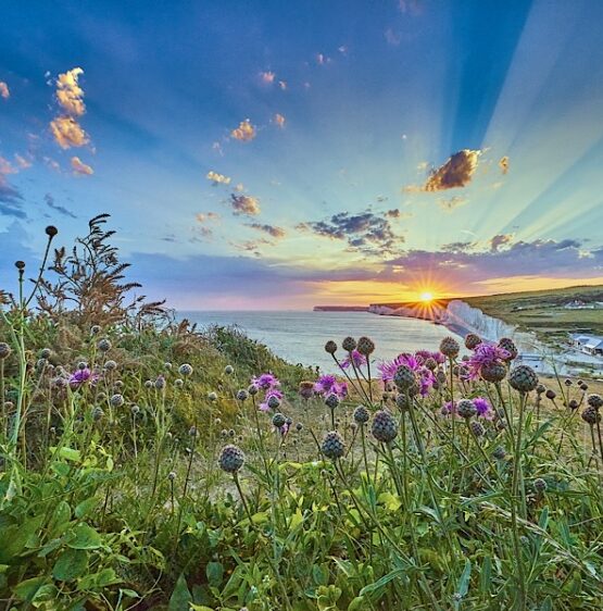 The Yellow Sun, apocalypse book {{brizy_dc_image_alt imageSrc=